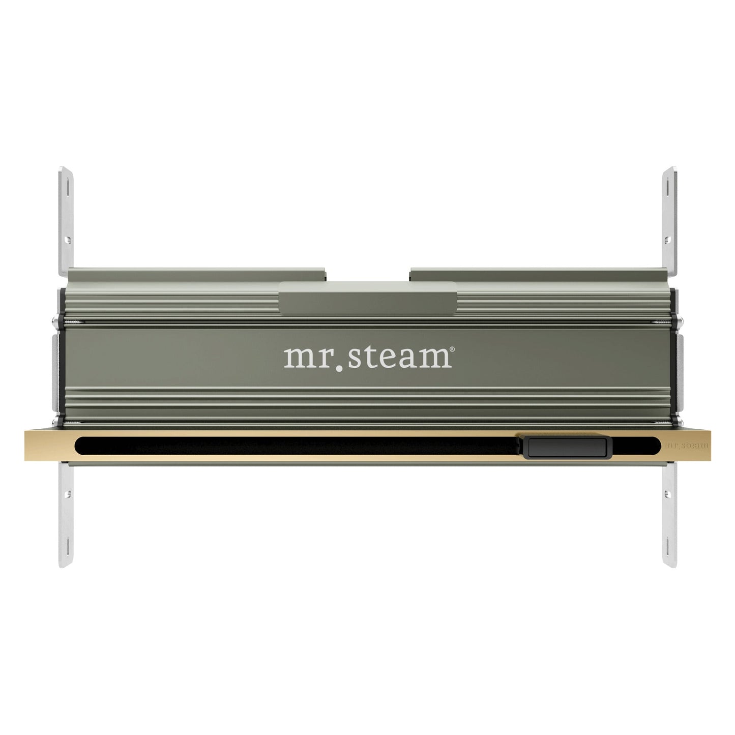 Linear 16 in. W. Steamhead with AromaTherapy Reservoir