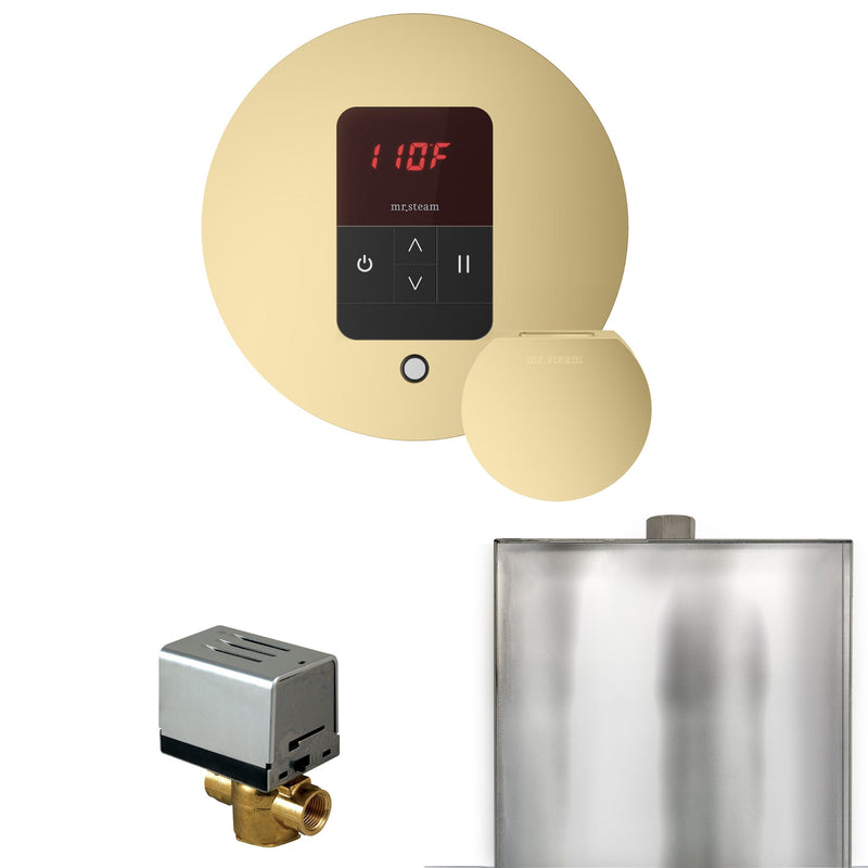 Basic Butler Steam Shower Control Package with Round iTempo Control and Steamhead