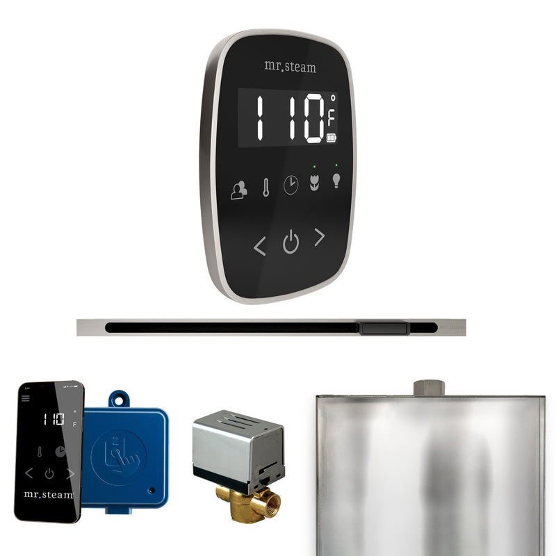 ButlerFlex Steam Shower Control Package with TempoFlex Control and Linear Steamhead