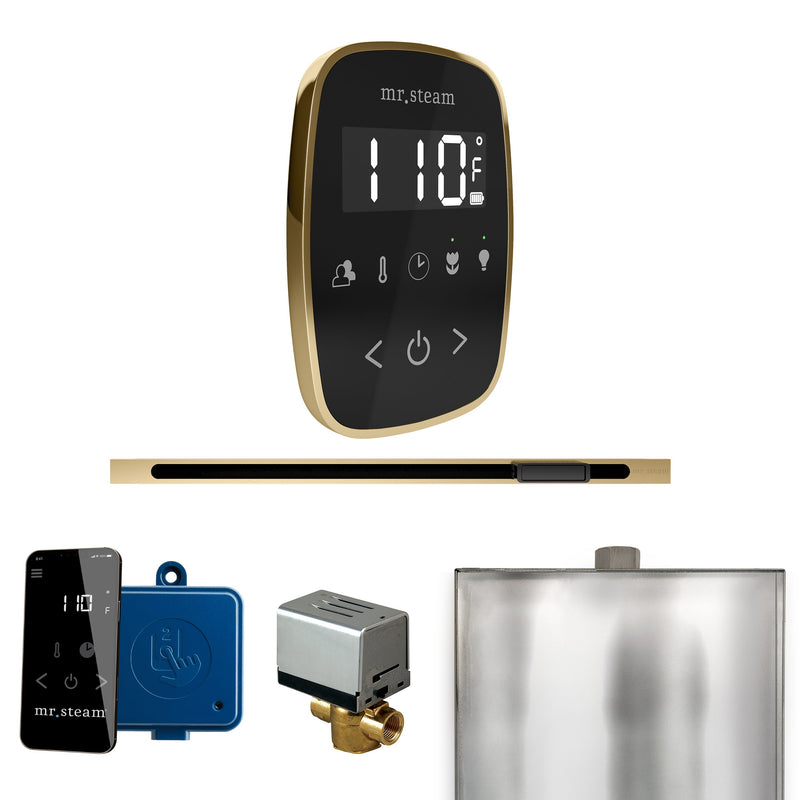 ButlerFlex Steam Shower Control Package with TempoFlex Control and Linear Steamhead