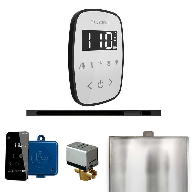 ButlerFlex Steam Shower Control Package with TempoFlex Control and Linear Steamhead