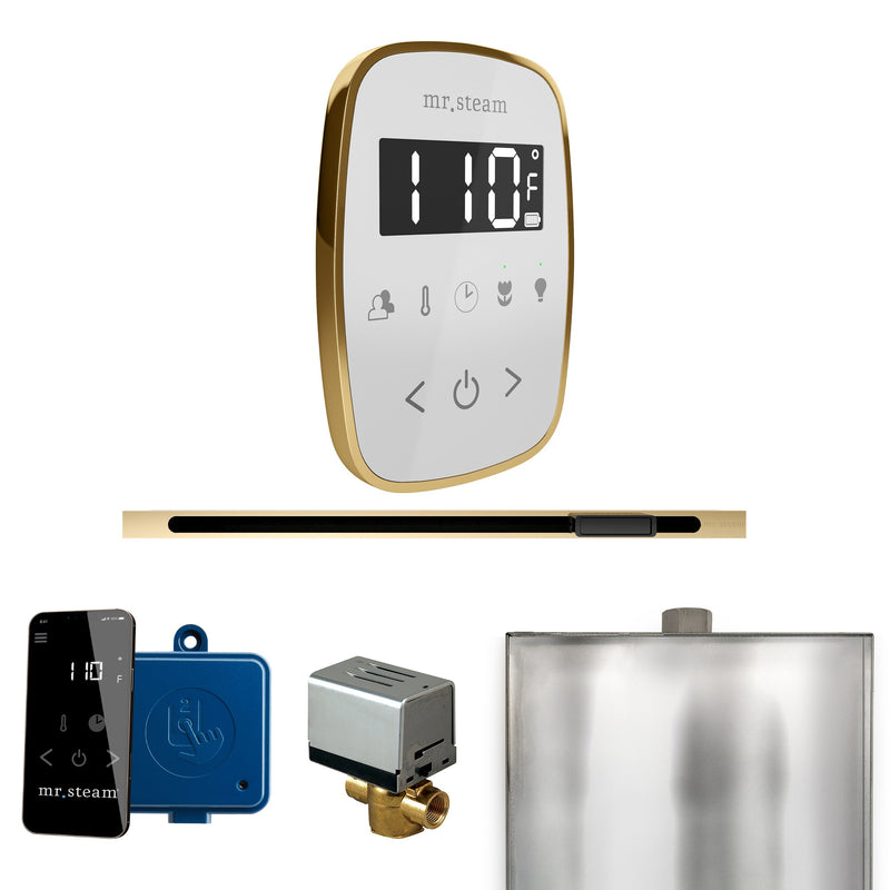 ButlerFlex Steam Shower Control Package with TempoFlex Control and Linear Steamhead