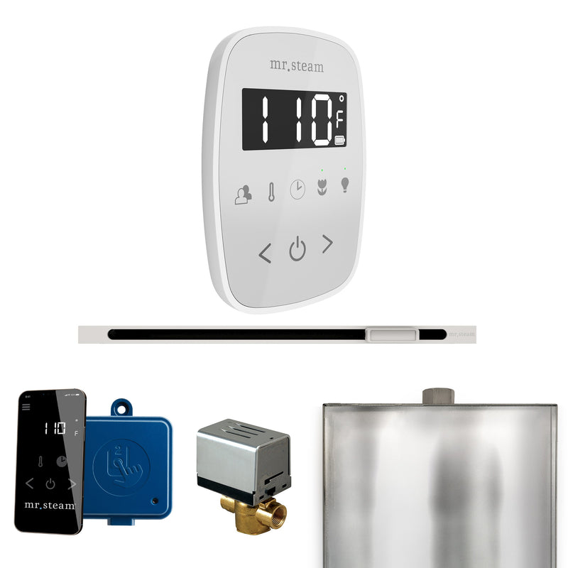 ButlerFlex Steam Shower Control Package with TempoFlex Control and Linear Steamhead