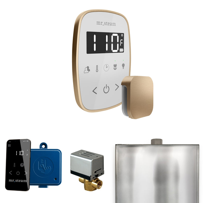 ButlerFlex Steam Shower Control Package with TempoFlex Control and Steamhead