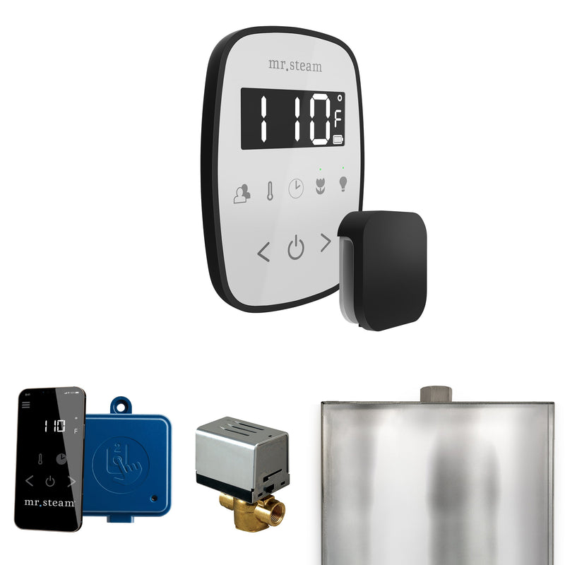 ButlerFlex Steam Shower Control Package with TempoFlex Control and Steamhead