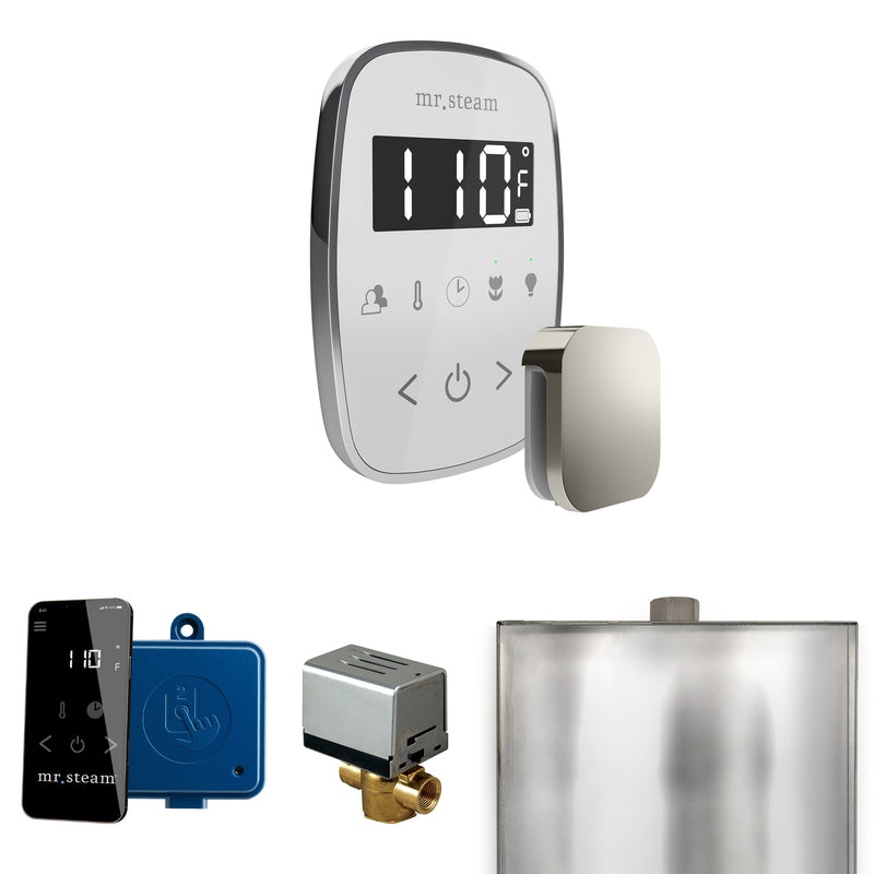 ButlerFlex Steam Shower Control Package with TempoFlex Control and Steamhead