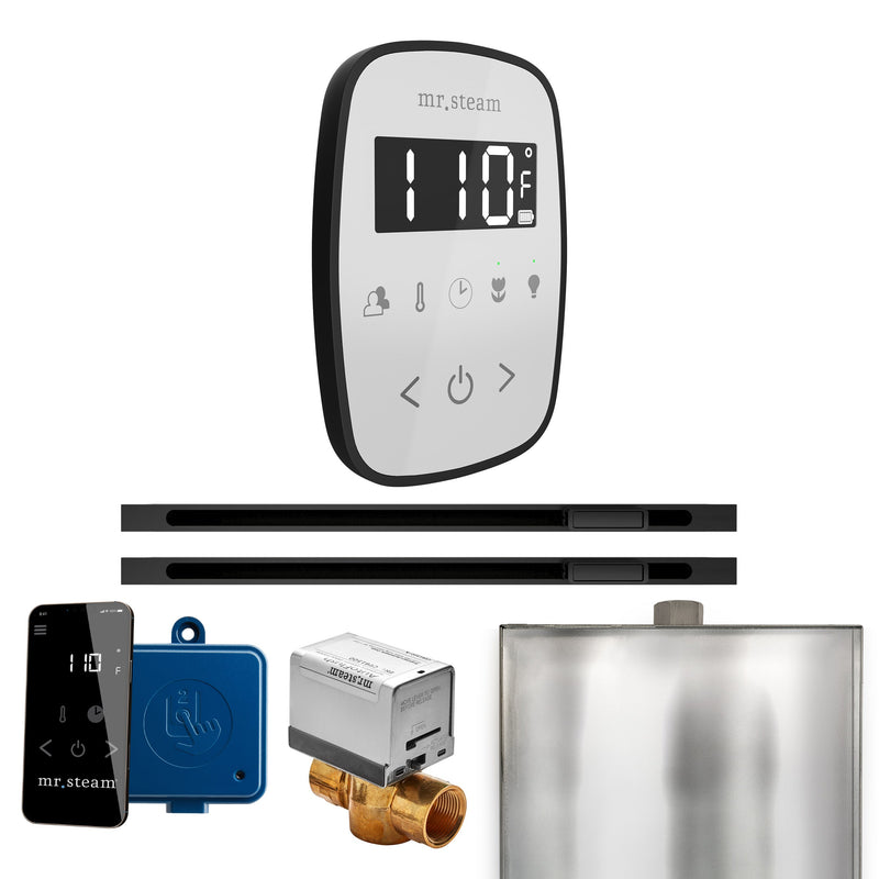 ButlerFlex Max Steam Shower Control Package with TempoFlex Control and Linear Steamhead