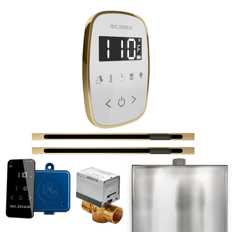ButlerFlex Max Steam Shower Control Package with TempoFlex Control and Linear Steamhead