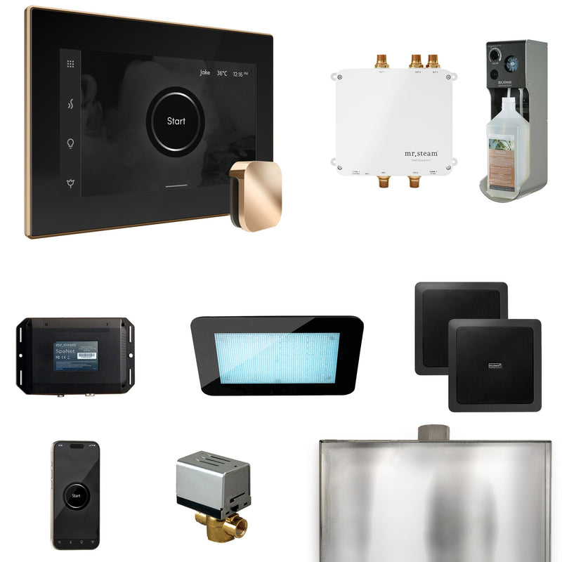 Bliss Steam Shower Control Package with iSteamX Control and Steamhead