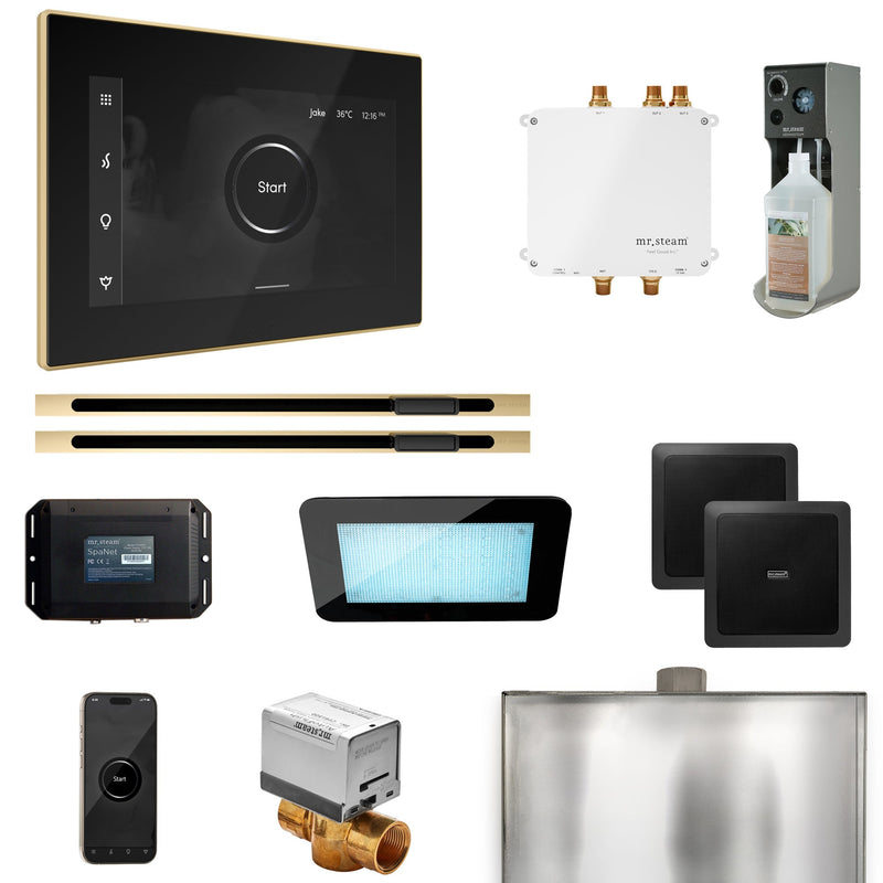 Bliss Max Steam Shower Control Package with iSteamX Control and Linear Steamhead