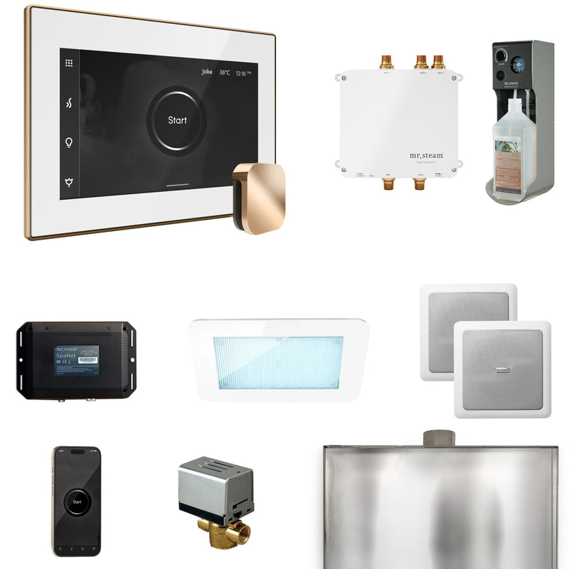 Bliss Steam Shower Control Package with iSteamX Control and Steamhead