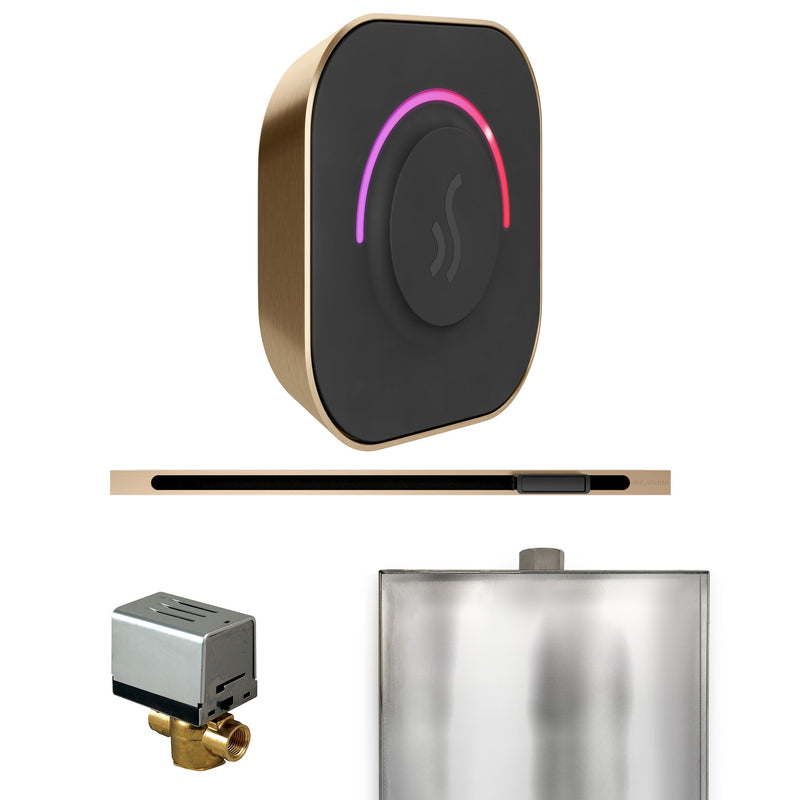 ButlerTouch Steam Shower Control Package with TempoTouch Control and Linear Steamhead