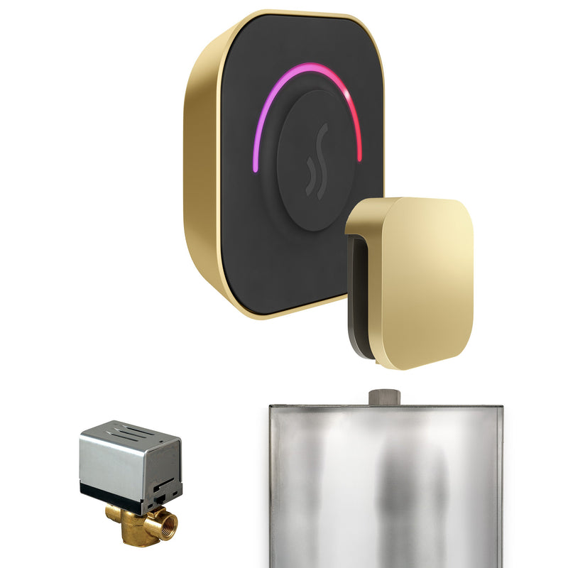 ButlerTouch Steam Shower Control Package with TempoTouch Control and Steamhead
