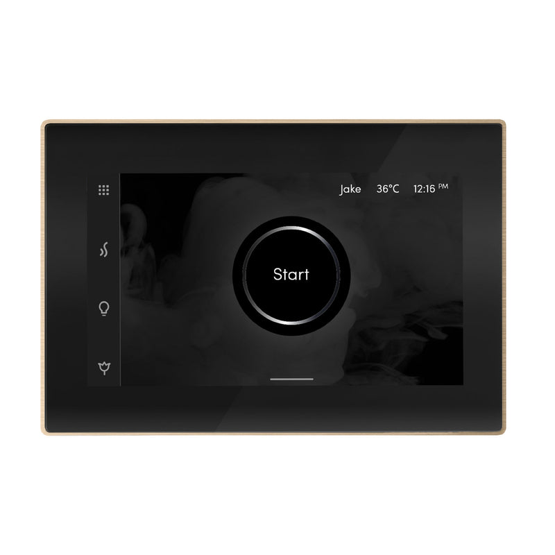 iSteamX Steam Shower Control and Steamhead