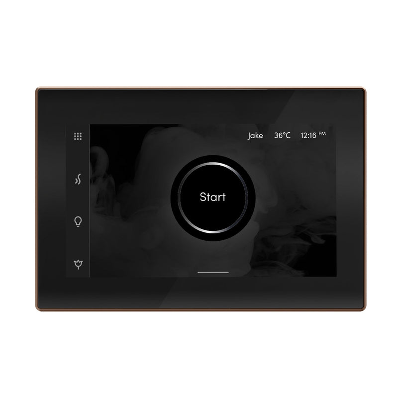 iSteamX Steam Shower Control and Steamhead