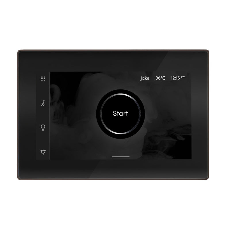 iSteamX Steam Shower Control and Steamhead