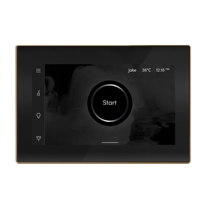 iSteamX Steam Shower Control and Steamhead