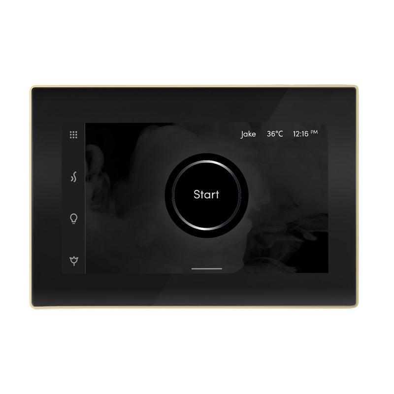 iSteamX Steam Shower Control and Steamhead