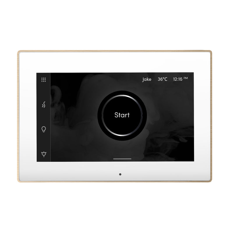 iSteamX Steam Shower Control and Steamhead