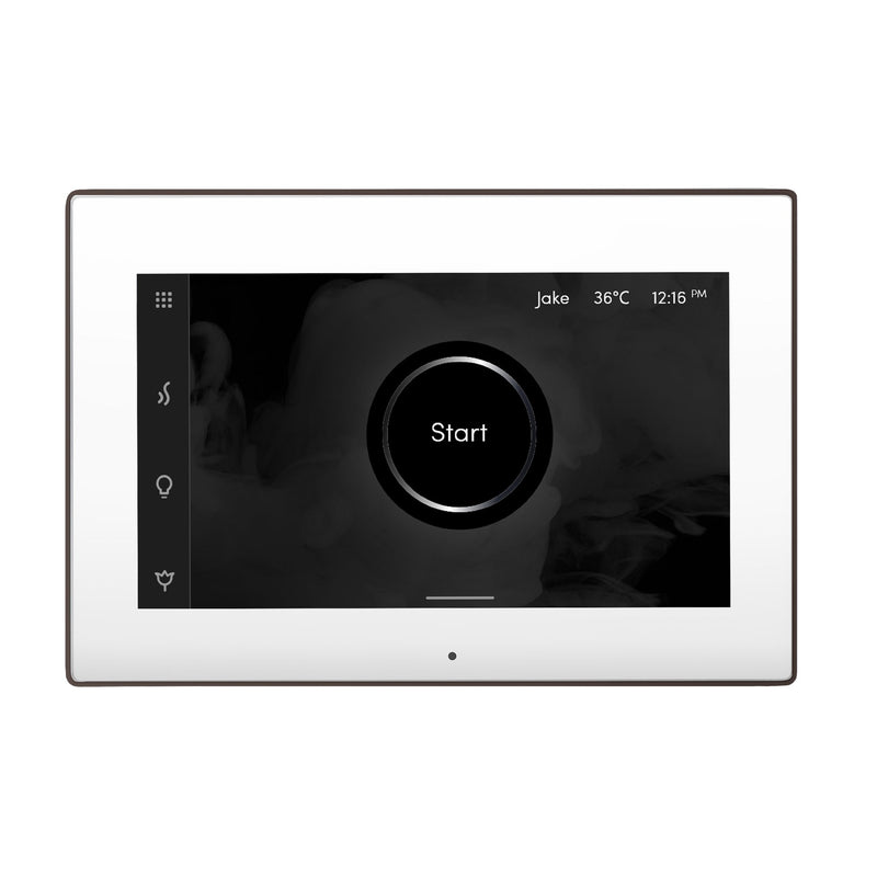 iSteamX Steam Shower Control and Steamhead