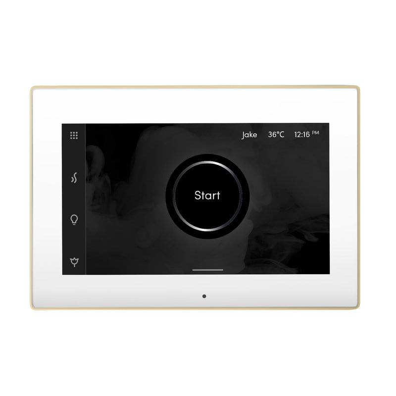 iSteamX Steam Shower Control and Steamhead