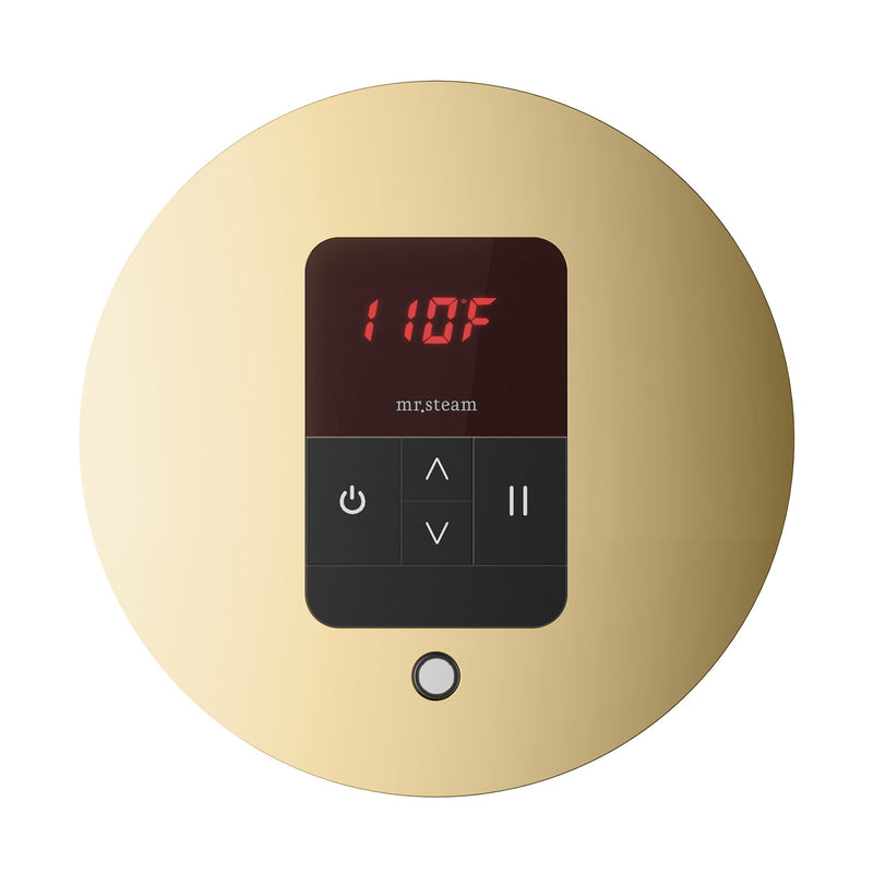 iTempo Round Steam Shower Control and Steamhead