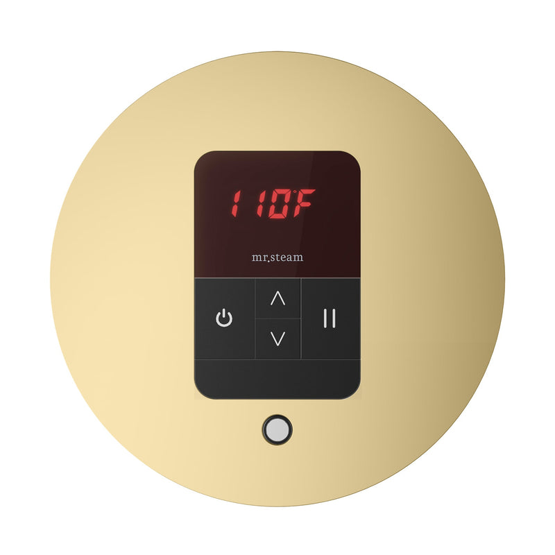 iTempo Round Steam Shower Control and Steamhead