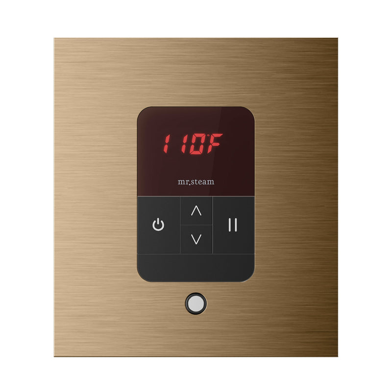 iTempo Square Steam Shower Control and Steamhead