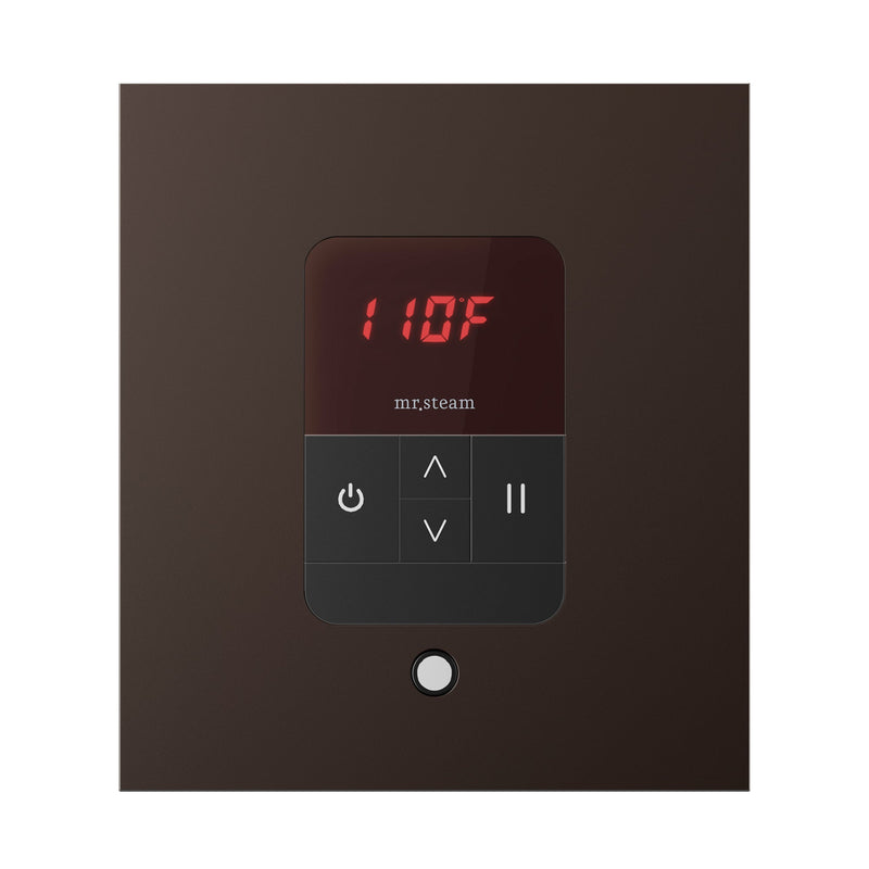 iTempo Square Steam Shower Control and Steamhead