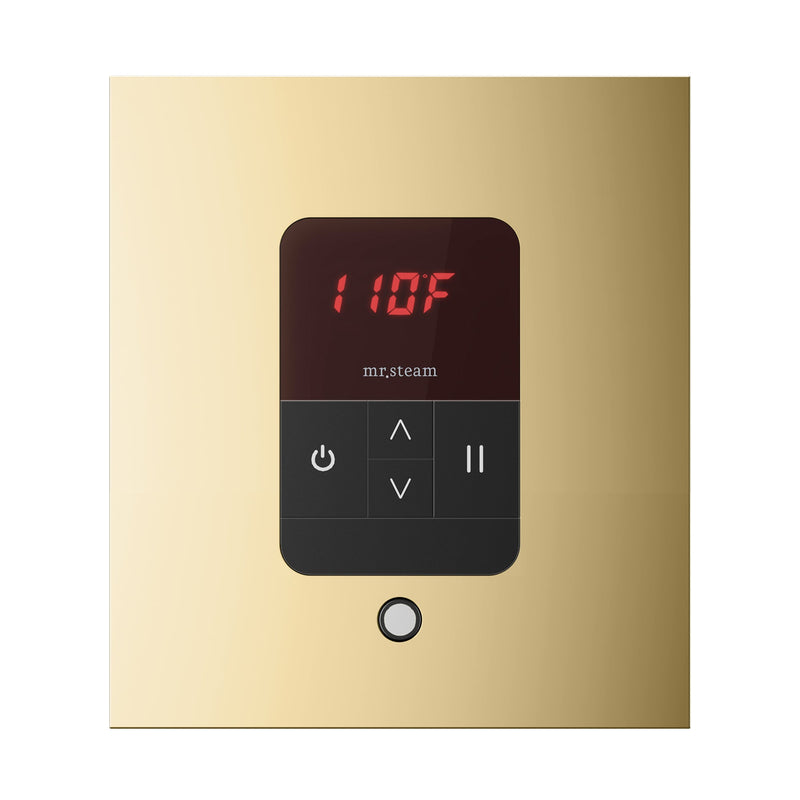 iTempo Square Steam Shower Control and Steamhead