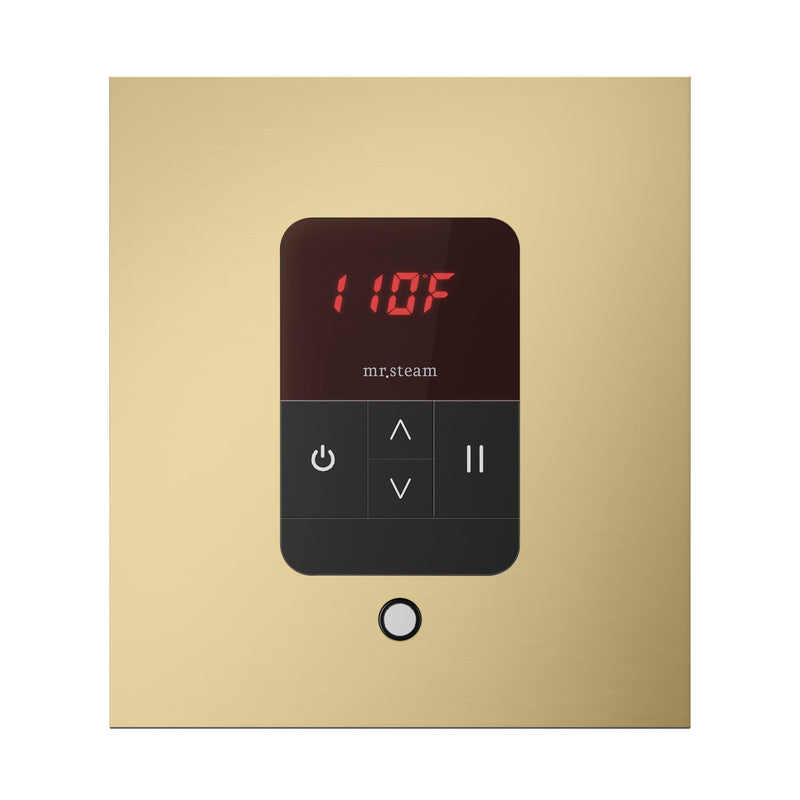 iTempo Square Steam Shower Control and Steamhead