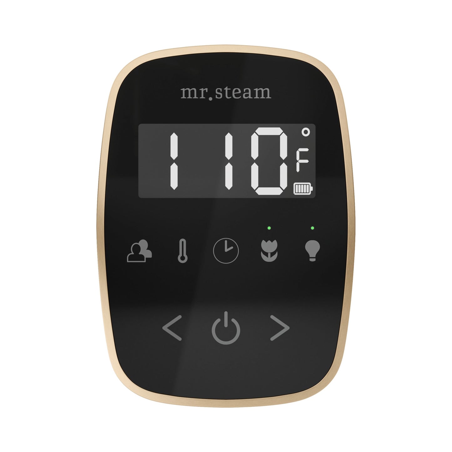 TempoFlex Steam Shower Control and Steamhead