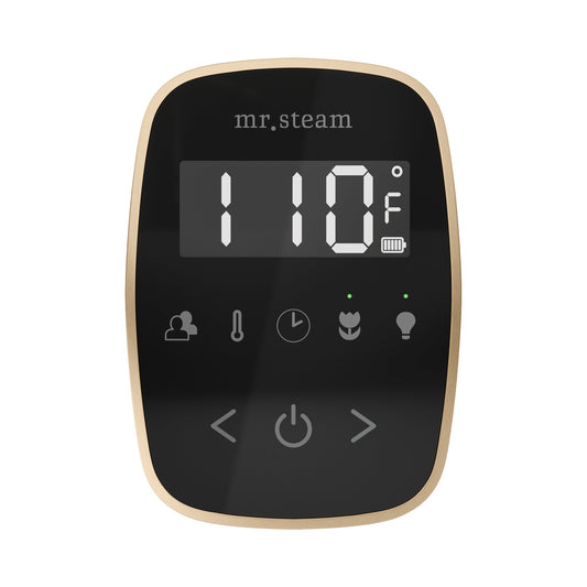 TempoFlex Steam Shower Control and Steamhead
