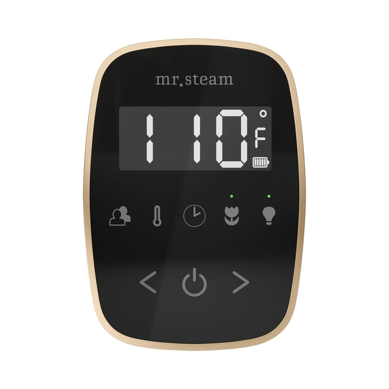TempoFlex Steam Shower Control and Steamhead