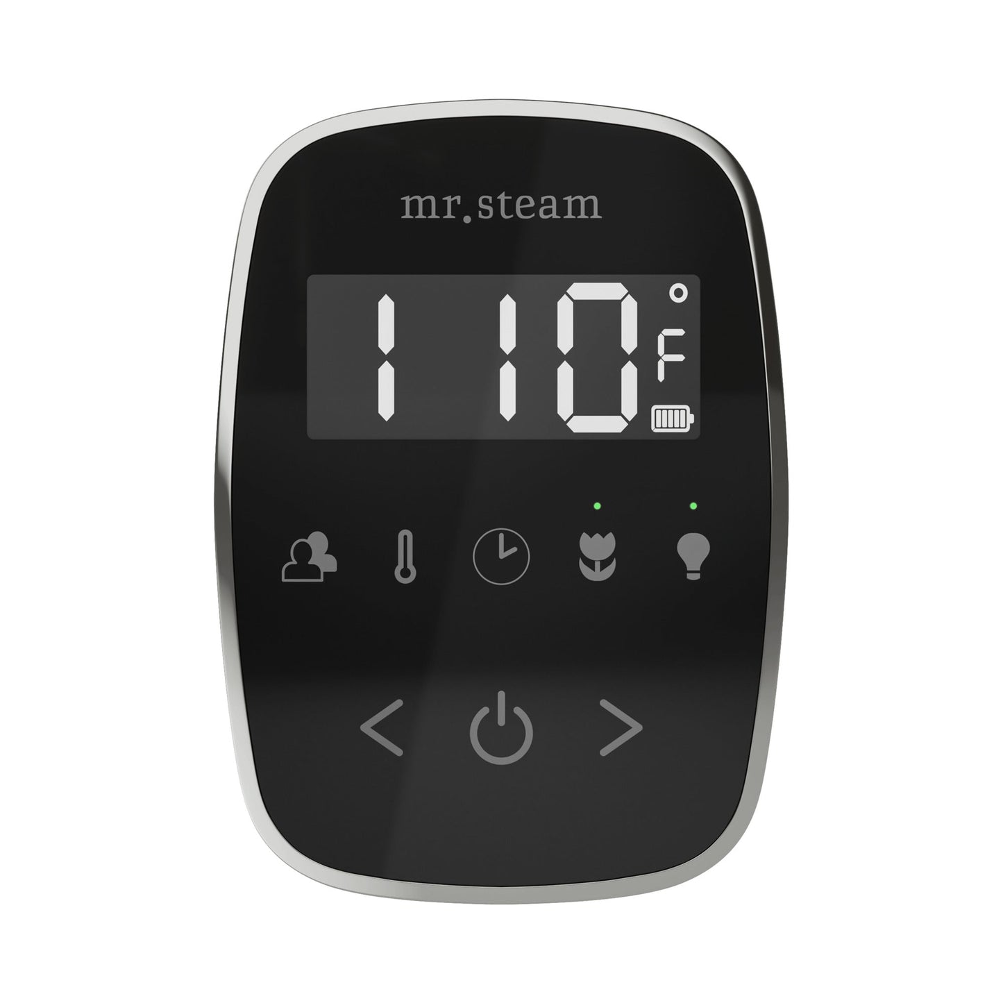 TempoFlex Steam Shower Control and Steamhead