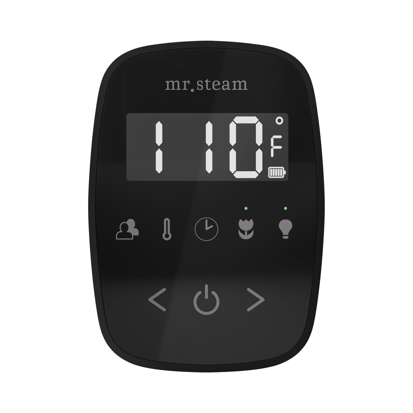 TempoFlex Steam Shower Control and Steamhead