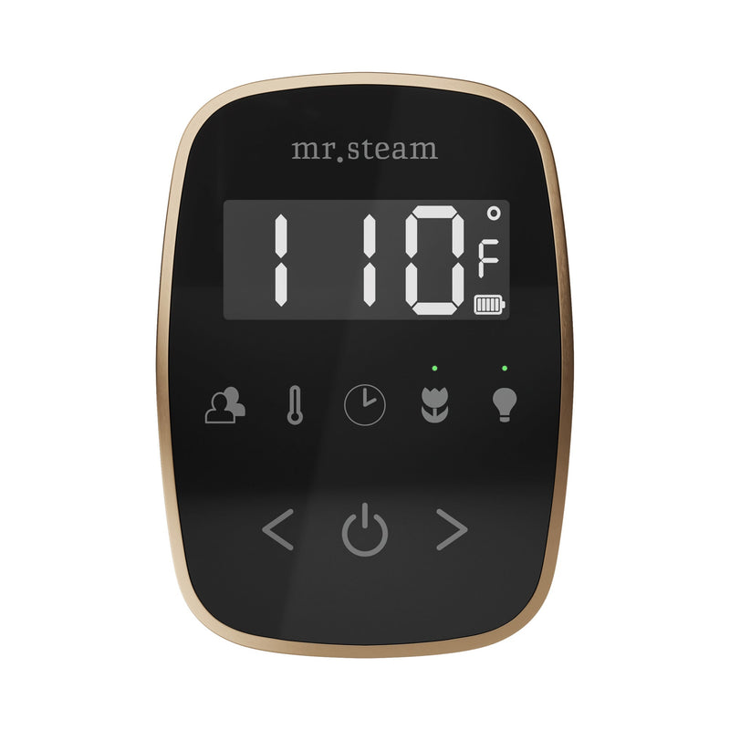 TempoFlex Steam Shower Control and Steamhead