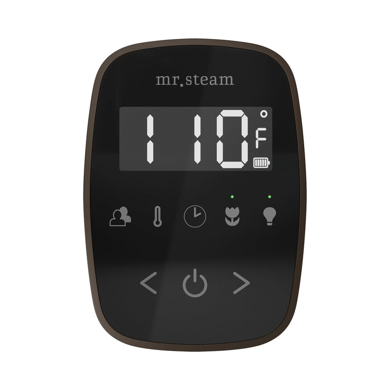 TempoFlex Steam Shower Control and Steamhead