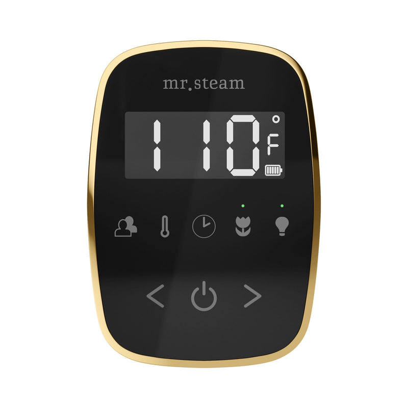 TempoFlex Steam Shower Control and Steamhead