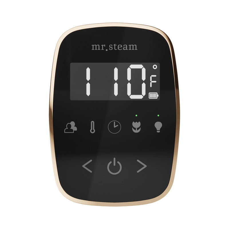 TempoFlex Steam Shower Control and Steamhead