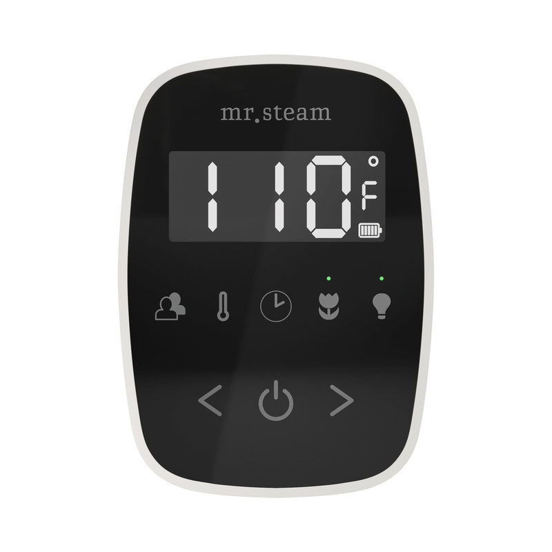 TempoFlex Steam Shower Control and Steamhead