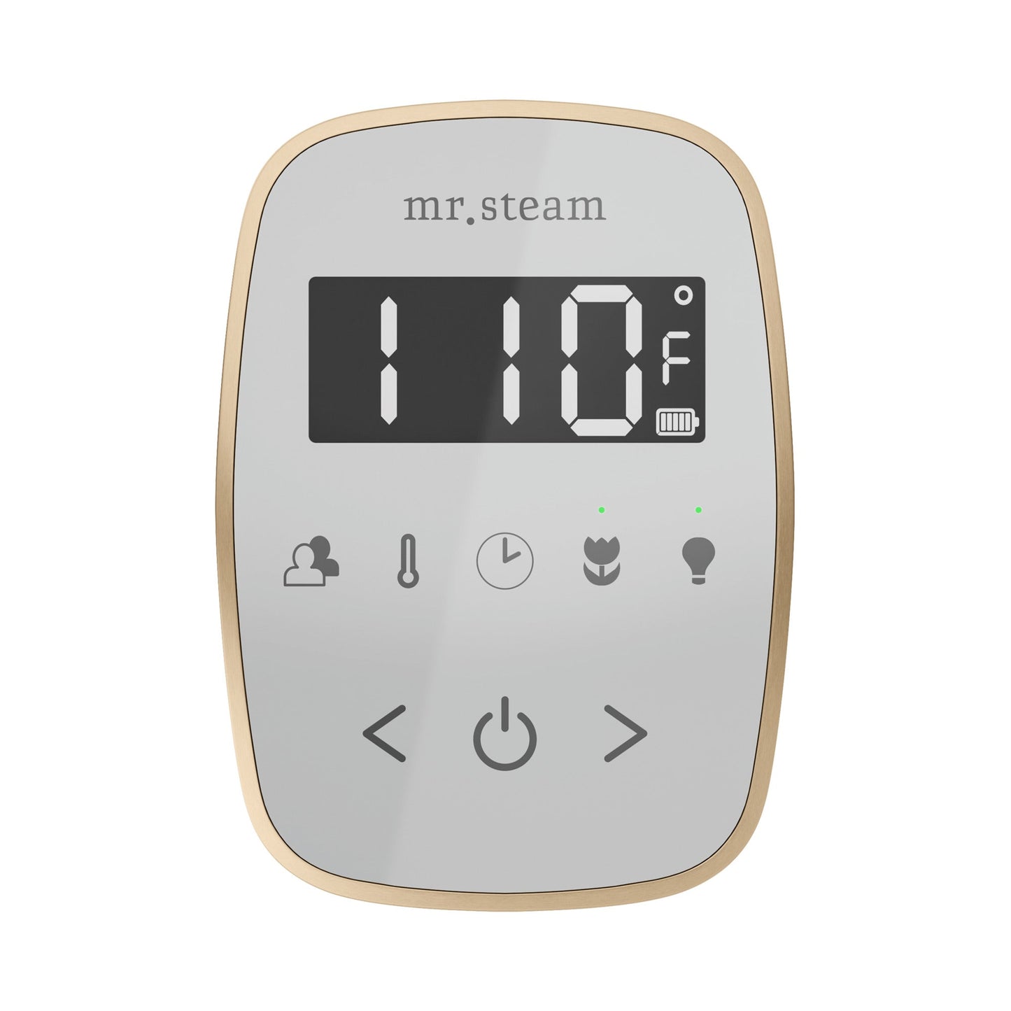 TempoFlex Steam Shower Control and Steamhead