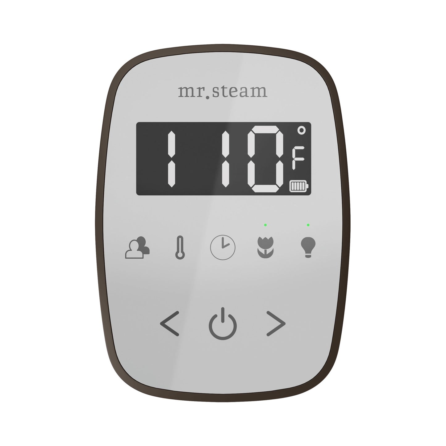 TempoFlex Steam Shower Control and Steamhead