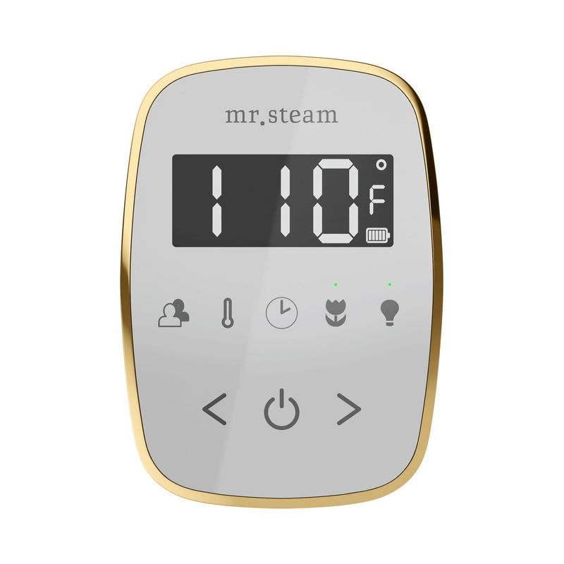 TempoFlex Steam Shower Control and Steamhead