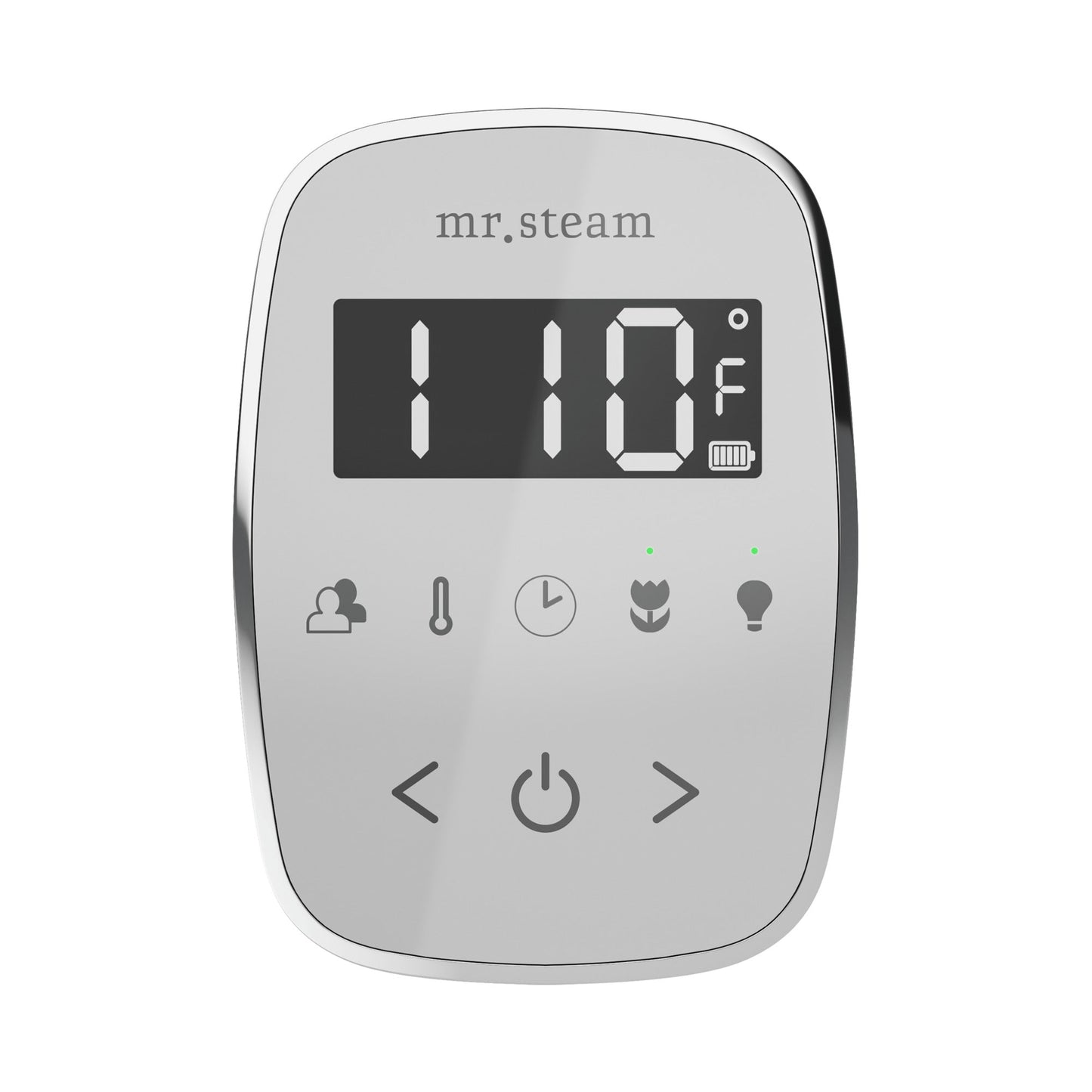 TempoFlex Steam Shower Control and Steamhead