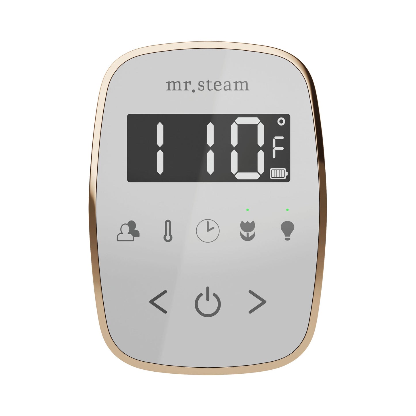 TempoFlex Steam Shower Control and Steamhead