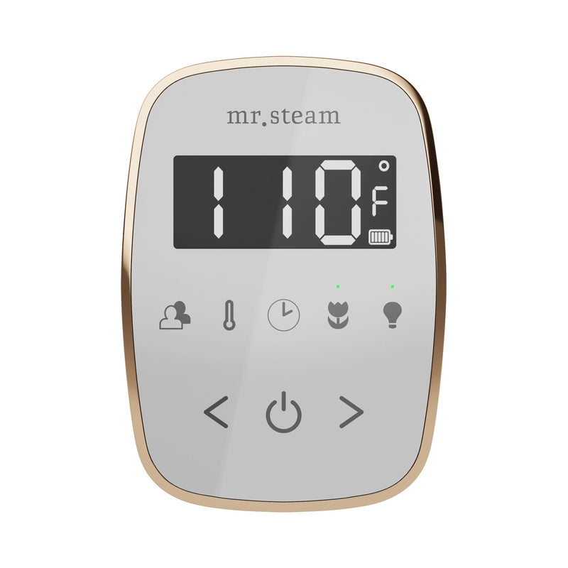 TempoFlex Steam Shower Control and Steamhead