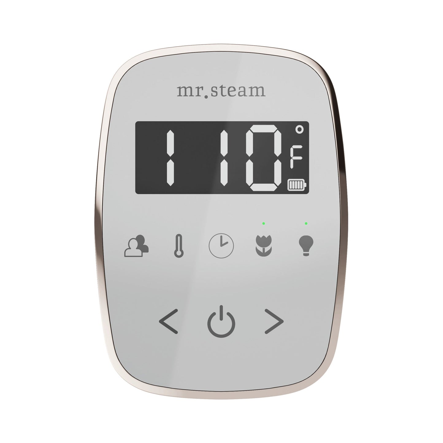 TempoFlex Steam Shower Control and Steamhead