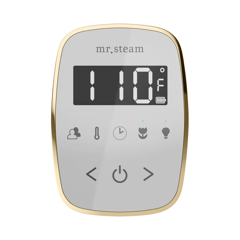 TempoFlex Steam Shower Control and Steamhead