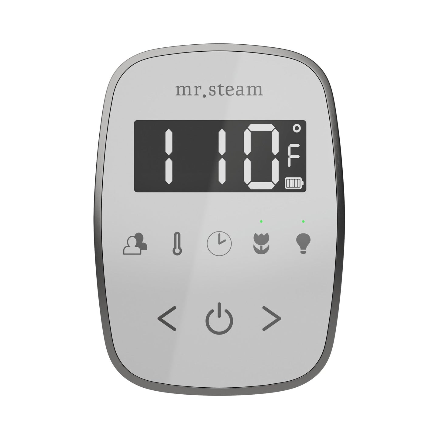 TempoFlex Steam Shower Control and Steamhead